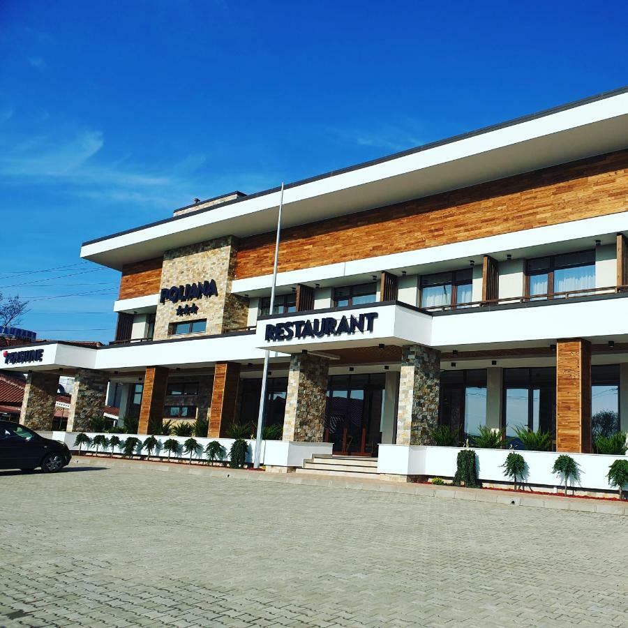 Pensiunea Poliana Costesti  Exterior foto